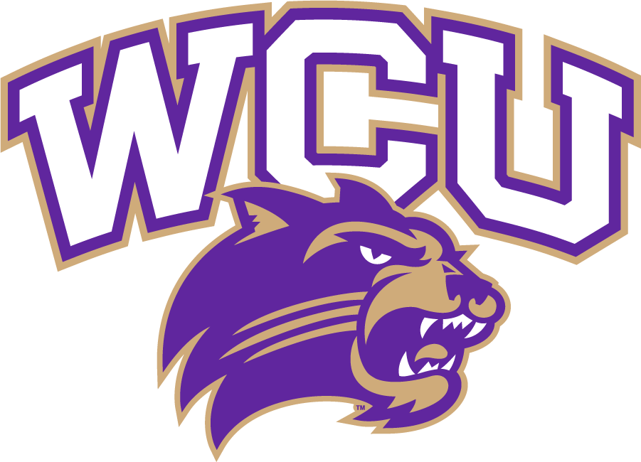 Western Carolina Catamounts 2015 Secondary Logo diy iron on heat transfer